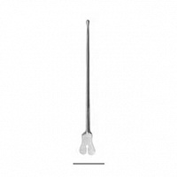 Зонд желобоватый пуговчатый - Танагра